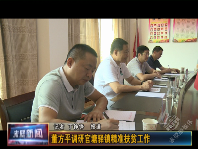 董方平调研官塘驿镇精准扶贫工作