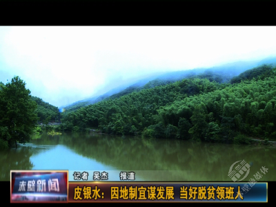 皮银水：因地制宜谋发展 当好脱贫领班人