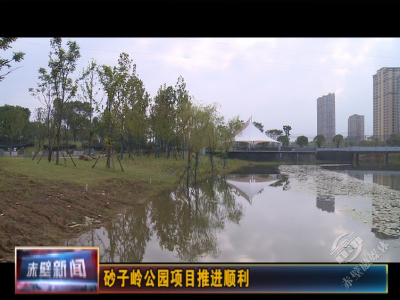 快看！砂子岭公园项目建设最新进展来了！