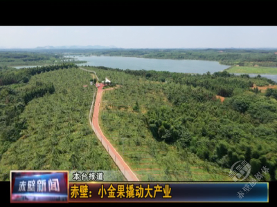 赤壁：小金果撬动大产业