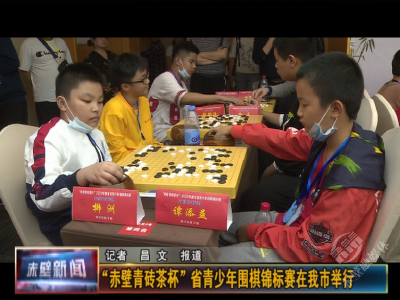 全省“围棋少年”齐聚赤壁，只为方寸间的精彩博弈！