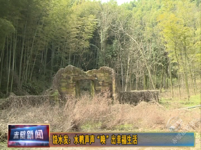 饶水发：水鸭声声“唤”出幸福生活