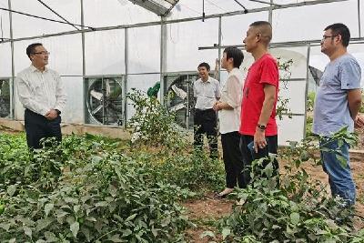 方高文赴黄盖湖镇调研