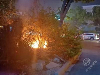 联合执法检查 倡导文明祭祀