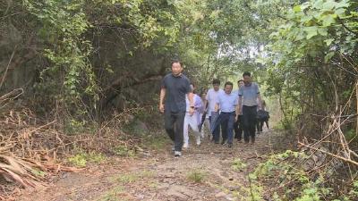 董方平调研南环大桥 陆水湖库区扶贫公路建设  打通断点堵点 完善路网建设  满足人民群众对美好生活的追求
