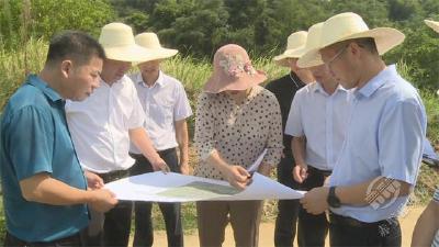 谭海华来赤调研长江流域重点水域禁捕退捕及黄盖湖水污染治理工作