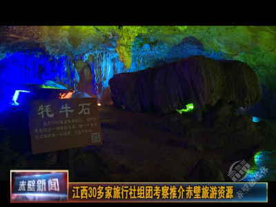 江西30多家旅行社组团考察推介赤壁旅游资源