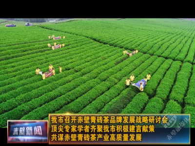 顶尖专家学者齐聚赤壁 共谋青砖茶产业高质量发展
