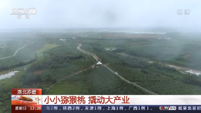 V视 | 2020年央视《新闻直播间》再次聚焦赤壁！