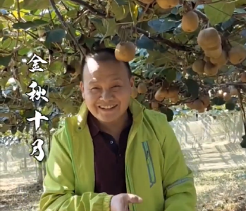 抖音｜因为遇见 所以“猕恋” 赤壁猕猴桃约定你！