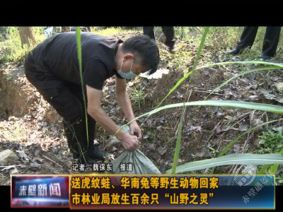 回家吧！市林业局放生一批野生动物