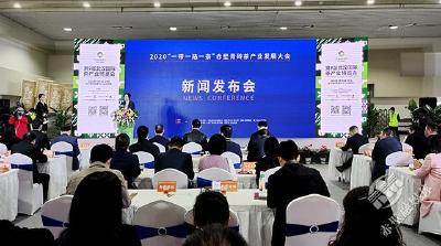 组图｜2020“一带一路一茶”赤壁青砖茶产业发展大会新闻发布会在汉举行