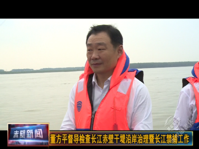 董方平督导检查长江赤壁段干堤沿岸治理暨长江禁捕工作
