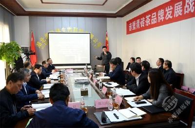 顶尖专家学者齐聚赤壁 共谋青砖茶产业高质量发展