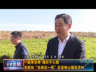 一起来协商 建好开心路 市政协“协商在一线”走进神山镇西凉村