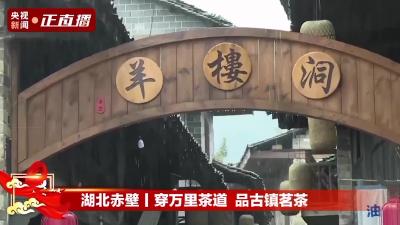 V视丨2020年央视《穿万里茶道 品古镇茗茶》