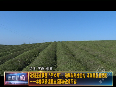 改制企业再亮“手术刀”：祛制约性症结 谋高质量发展 ——羊楼洞茶场顺应新形势改革写实