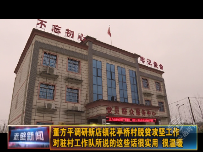 董方平调研新店镇花亭桥村脱贫攻坚工作 对驻村工作队所说的这些话很实用很温暖