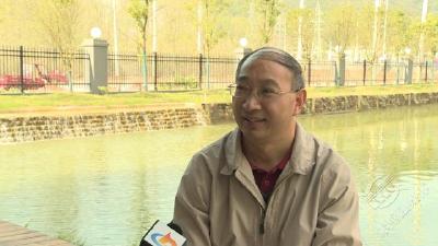 赤壁青砖茶高质量发展专家访谈 | 倪德江：让更多年轻人爱上新形态青砖茶
