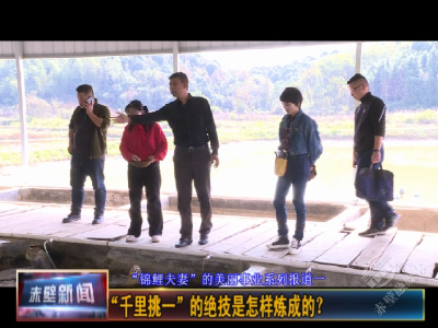 “锦鲤夫妻”的美丽事业系列报道① | “千里挑一”的绝技是怎样炼成的？