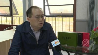 赤壁青砖茶高质量发展专家访谈 | 陈迪林：把赤壁青砖茶品牌擦得更亮