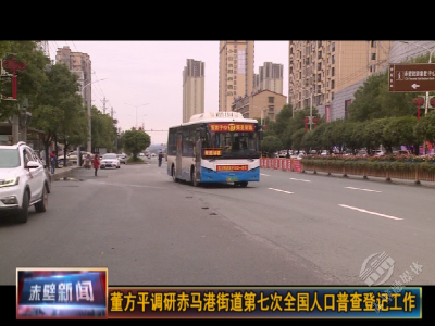 董方平调研赤马港街道第七次全国人口普查登记工作
