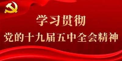 “十四五”时期经济社会发展指导方针（学习贯彻党的十九届五中全会精神）