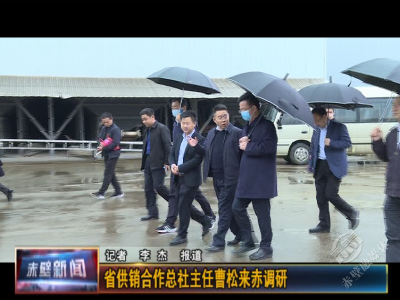 省供销合作总社主任曹松来赤调研