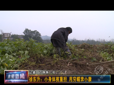 干出幸福好生活——中伙铺镇杨家岭村贫困户徐东升的脱贫故事