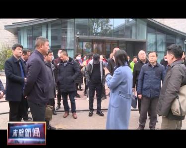 市领导督办茶产业发展大会综合筹备工作