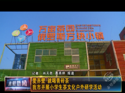 爱赤壁 就喝青砖茶 赤壁市开展小学生茶文化户外研学活动