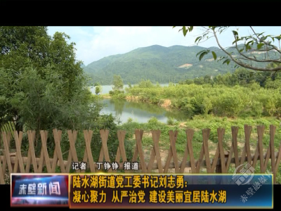 主体责任·书记谈| 陆水湖街道党工委书记刘志勇：凝心聚力 从严治党 建设美丽宜居陆水湖