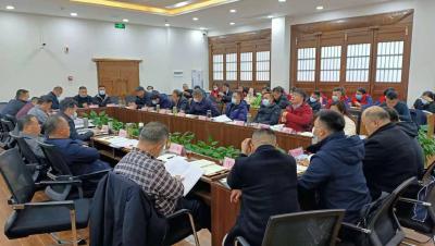 市领导督办茶产业发展大会综合筹备工作