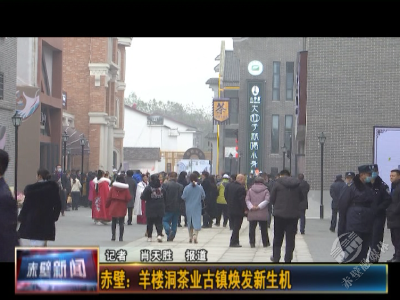 赤壁：羊楼洞茶业古镇焕发新生机