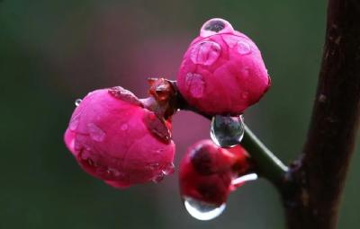 美文 | 冬至，一年最长夜，一阳初起时