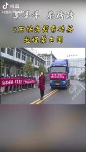 3万块赤壁青砖茶起程发往蒙古国！