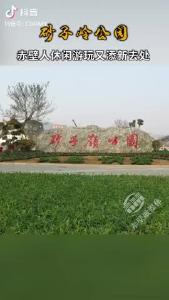 砂子岭公园 赤壁人休闲游玩又添新去处！