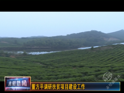 董方平调研扶贫项目建设工作