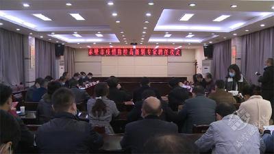 赤壁市成立疫情防控高级别专家组