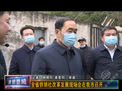 全省供销社改革发展现场会在赤壁召开 副省长赵海山出席并讲话