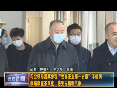 与会领导嘉宾参观“世界茶业第一古镇”羊楼洞 领略厚重茶文化 感受古镇新气象