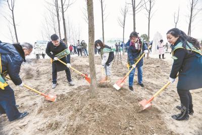 全国网友春天浇下水 武汉抗疫纪念林冬天在长江边落地生根