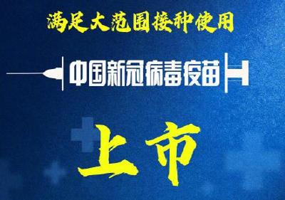 中国新冠病毒疫苗获批上市