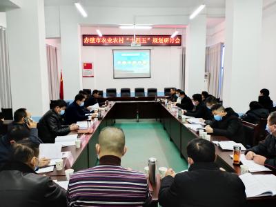 赤壁市召开农业农村“十四五”规划研讨会