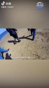 打击非法捕捞 严守禁渔底线