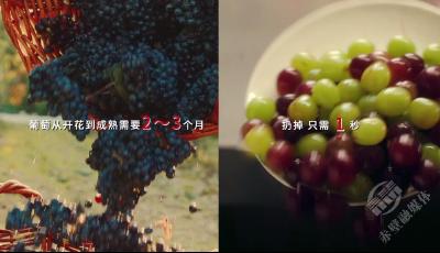 V视 | 《浪费可耻 节约光荣》分屏篇