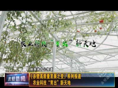 【赤壁高质量发展之变⑮】农业科技“育出”新天地
