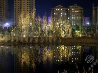 组图｜美丽的砂子岭公园夜景