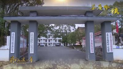 茶庵岭镇