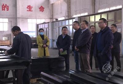 市领导调研重点企业复工达产情况 